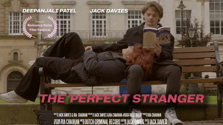 The Perfect Stranger screenshot 1