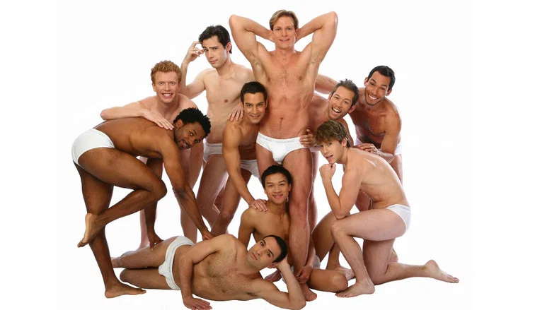 Naked Boys Singing! screenshot 1