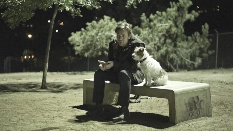 Beginners screenshot 3