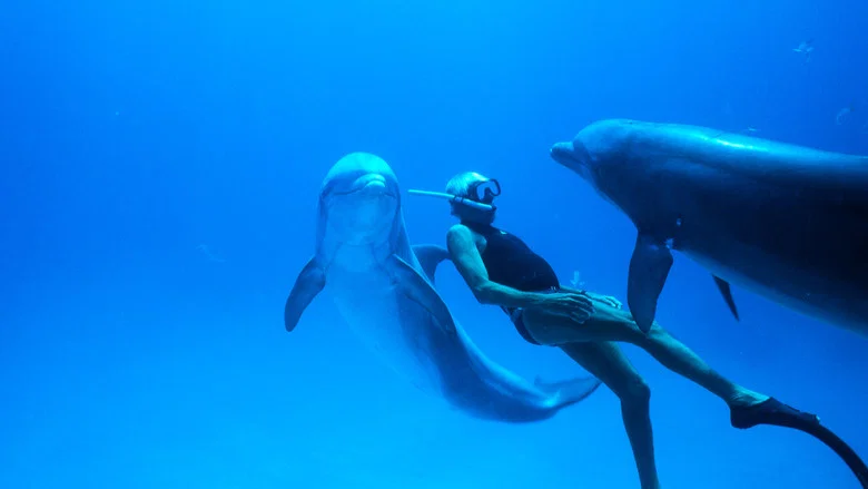 Dolphin Man screenshot 2
