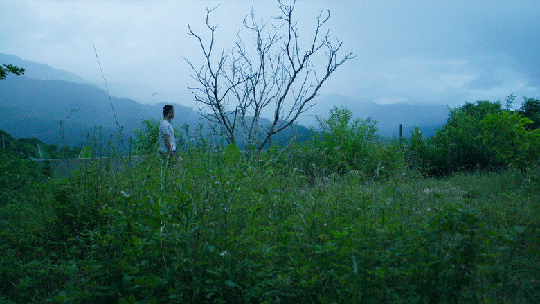 Days screenshot 4