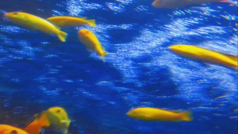 Silent Breaths Beneath Electric Glow screenshot 1