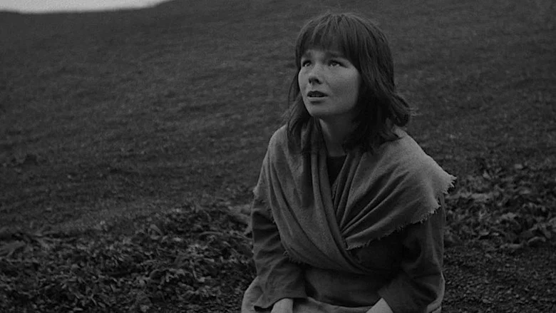 The Juniper Tree screenshot 8