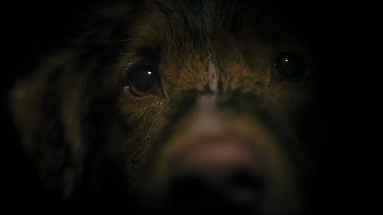 Good Boy screenshot 4