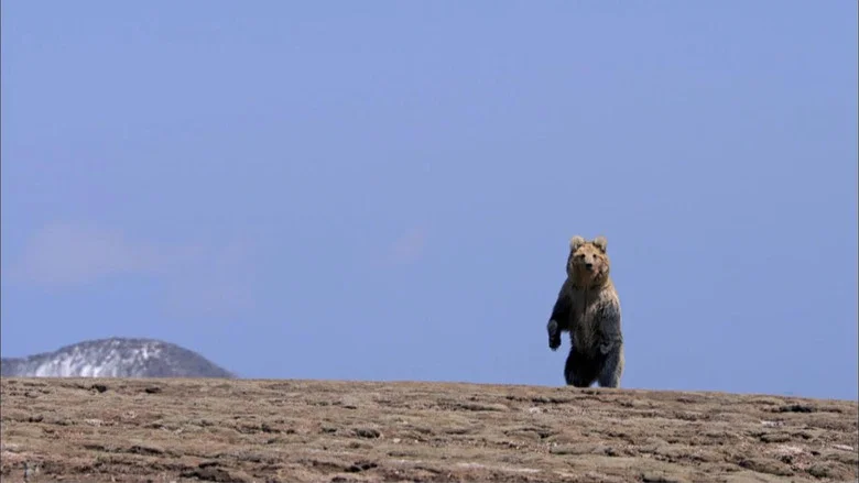 The Himalayas screenshot 1