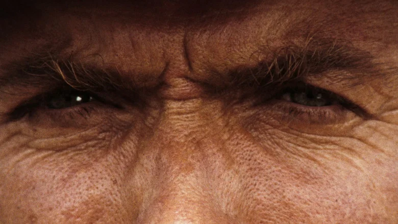 The Good, the Bad and the Ugly screenshot 8