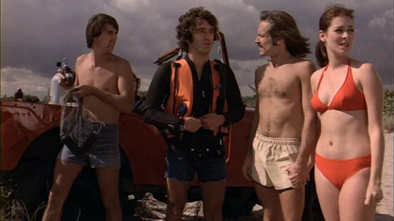 Barracuda screenshot 1