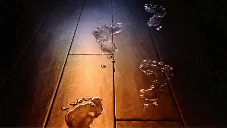 Lady in the Water screenshot 8