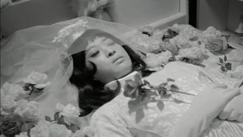 Funeral Parade of Roses screenshot 7