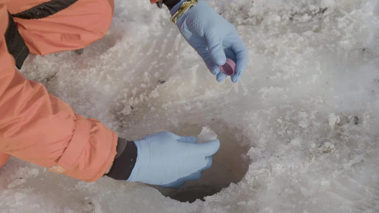 Climat déréglé, santé en danger screenshot 7