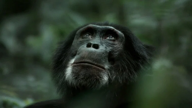 Rise of the Warrior Apes screenshot 3