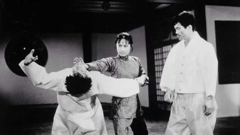 Hapkido screenshot 5