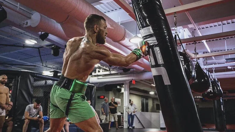 Conor McGregor: Notorious screenshot 2