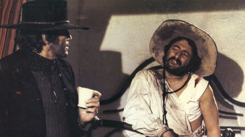 Viva! Django screenshot 2