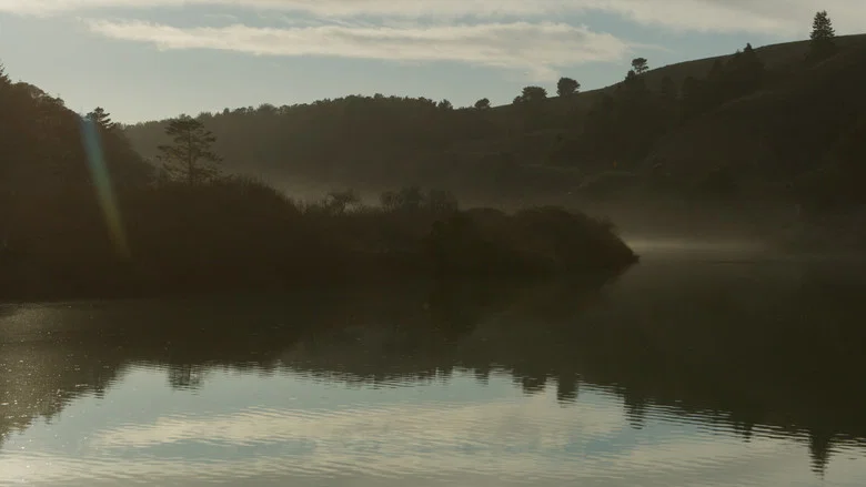 California Light screenshot 2