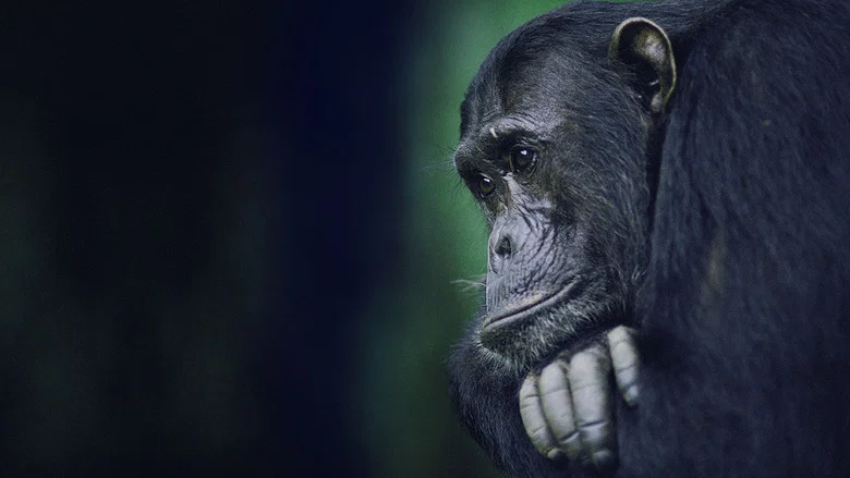 Kingdom of the Apes: Battle Lines screenshot 2