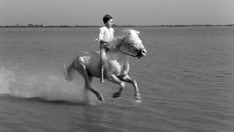White Mane screenshot 4