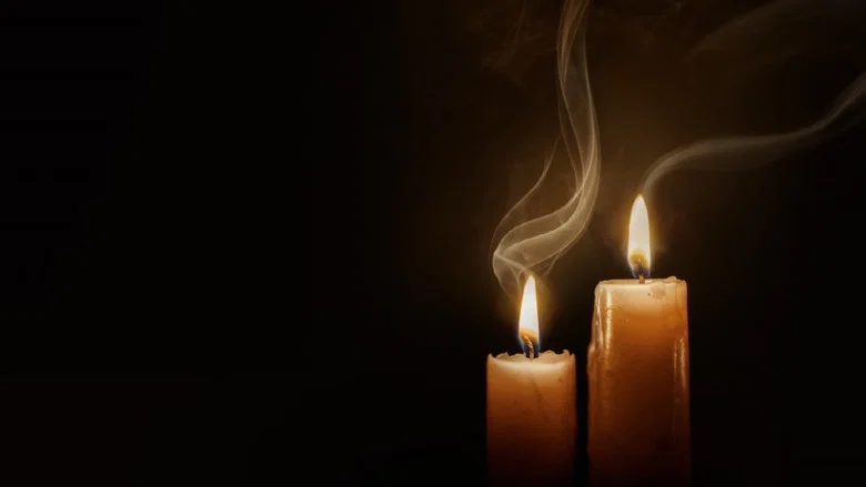 Practical Magic 2 screenshot 3