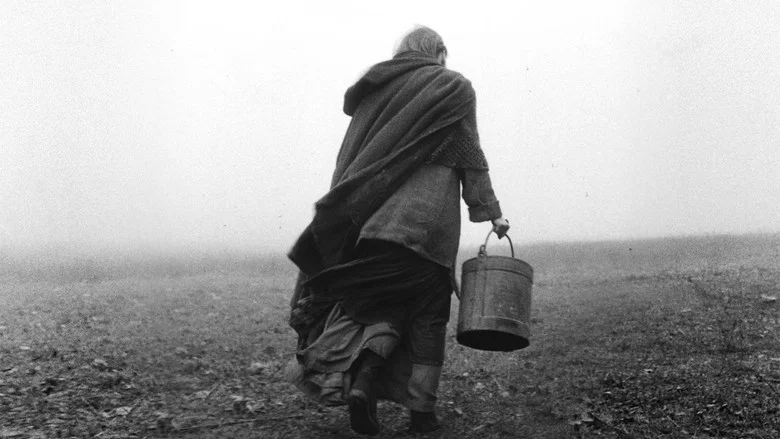 The Turin Horse screenshot 1