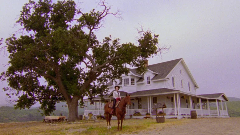 The Nowhere Inn screenshot 6