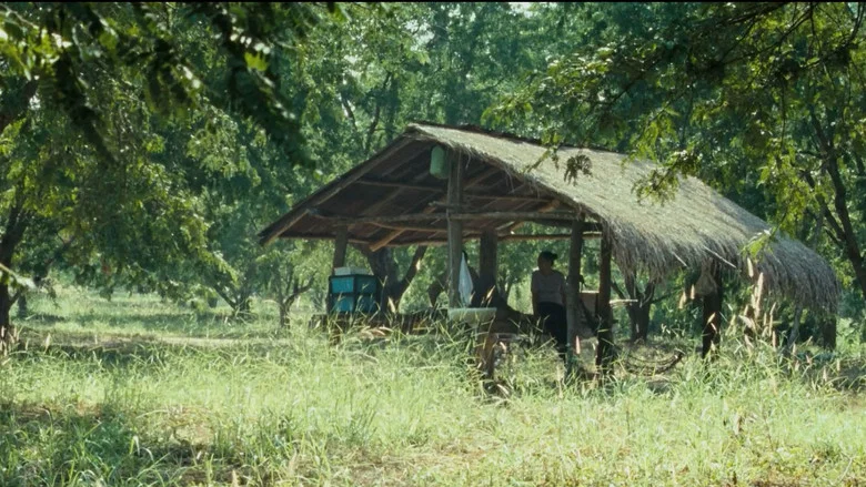 Uncle Boonmee Who Can Recall His Past Lives screenshot 8