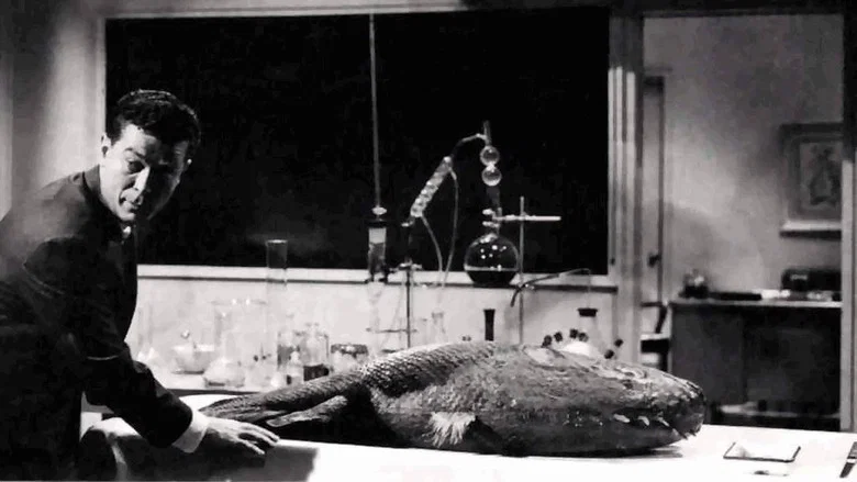 Monster on the Campus screenshot 1