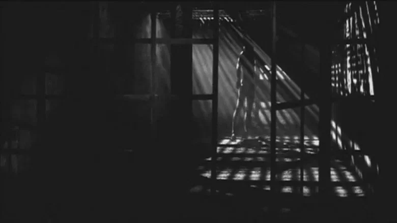 Zoetrope screenshot 1