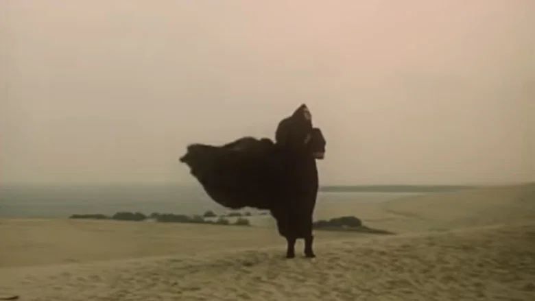 Journey to Paradise screenshot 7