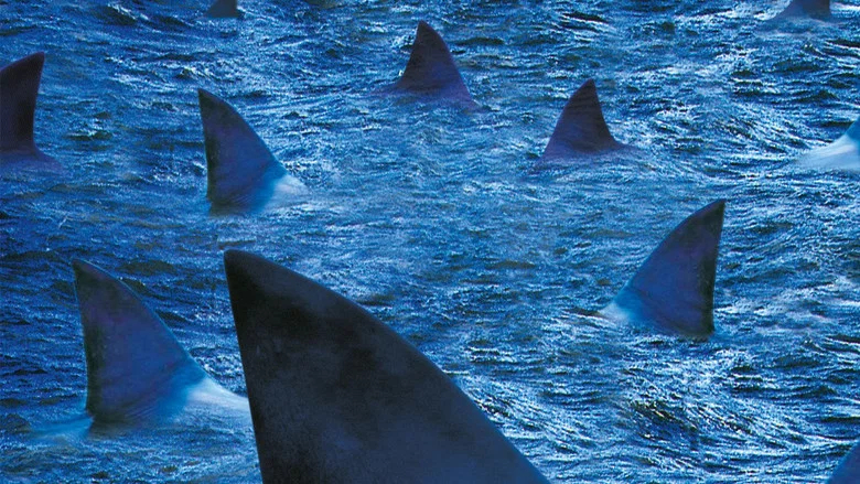 Raging Sharks screenshot 5