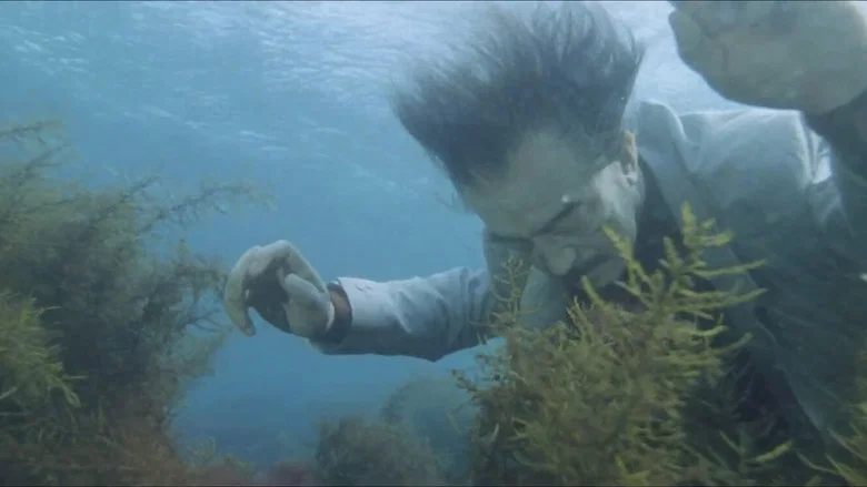 The Last Dance screenshot 7