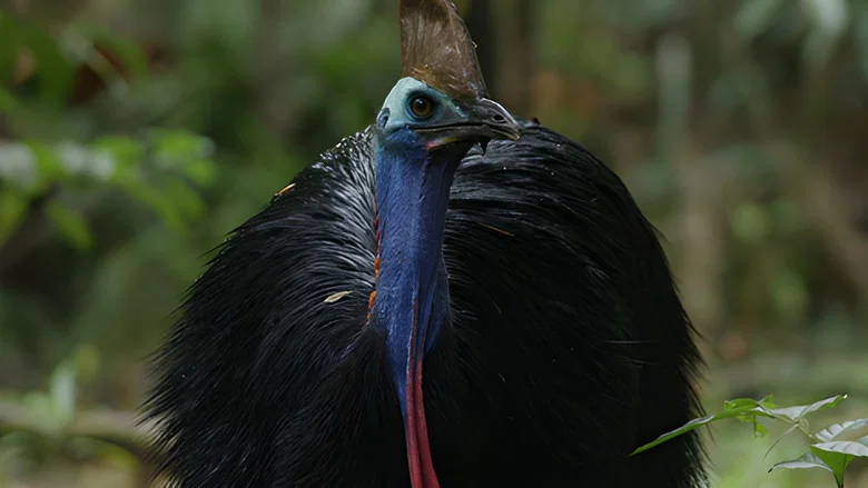 Dino Bird screenshot 1