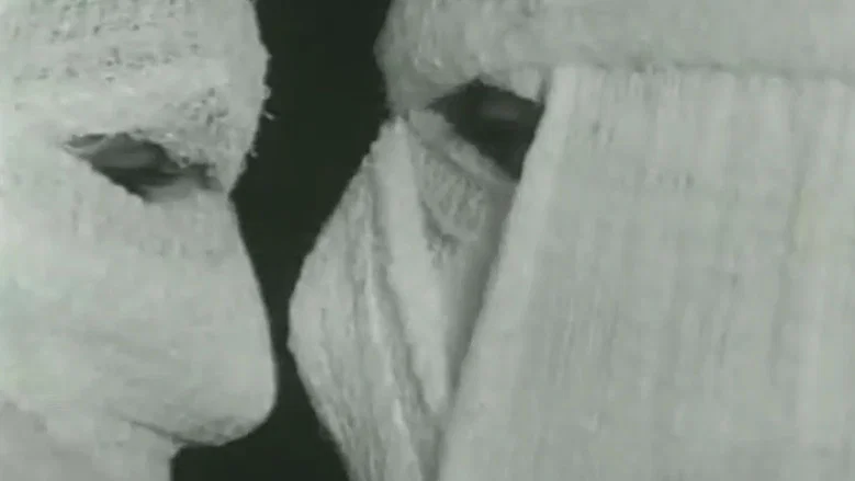 Pig screenshot 4