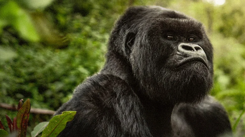 A Gorilla Story: Told by David Attenborough screenshot 2