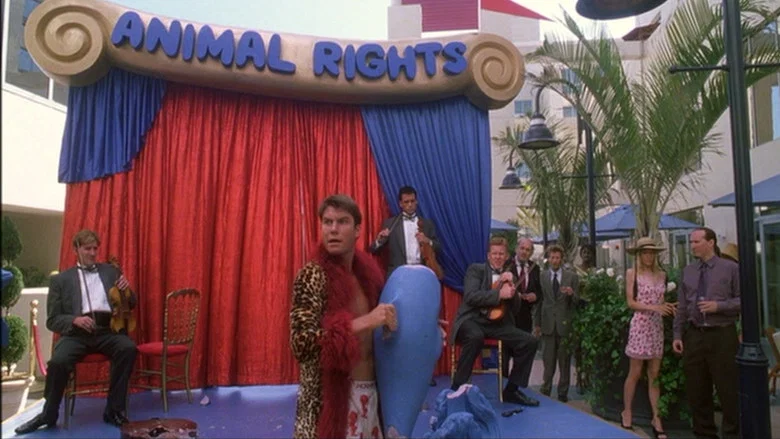 Tomcats screenshot 6