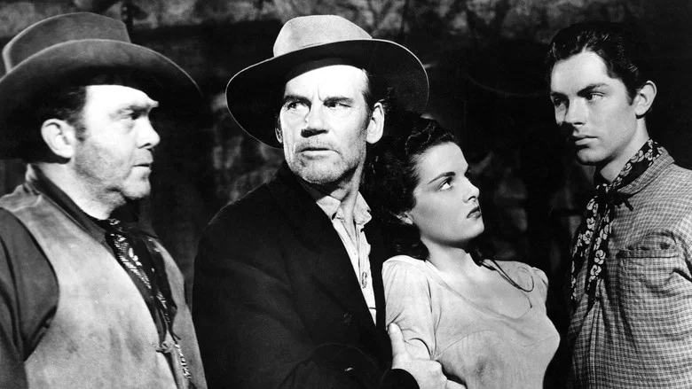 The Outlaw screenshot 1