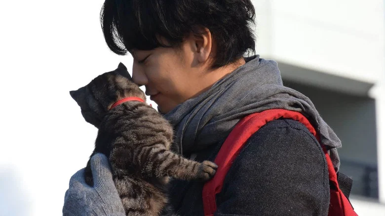 If Cats Disappeared from the World screenshot 7
