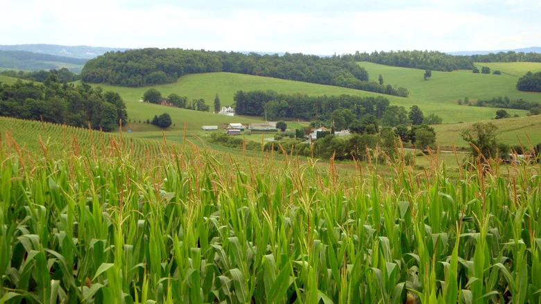 The World According to Monsanto screenshot 1