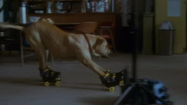 The Truth About Cats & Dogs screenshot 8
