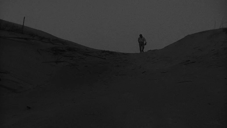 Woman in the Dunes screenshot 8