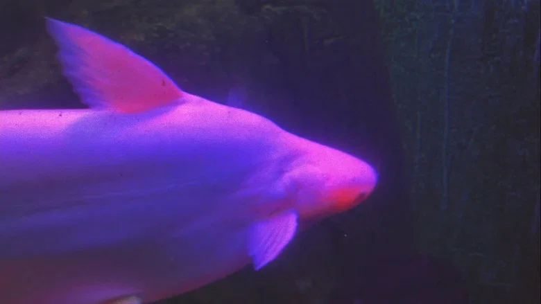 Silent Breaths Beneath Electric Glow screenshot 2