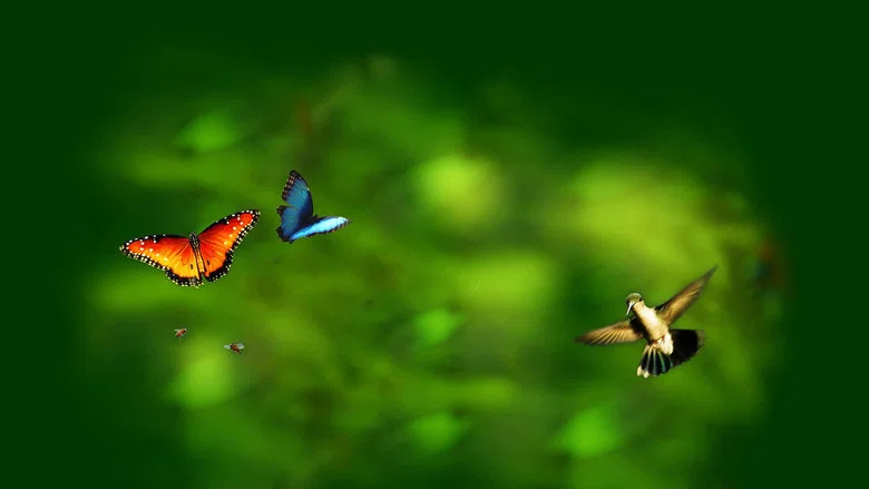 Wings of Life screenshot 2