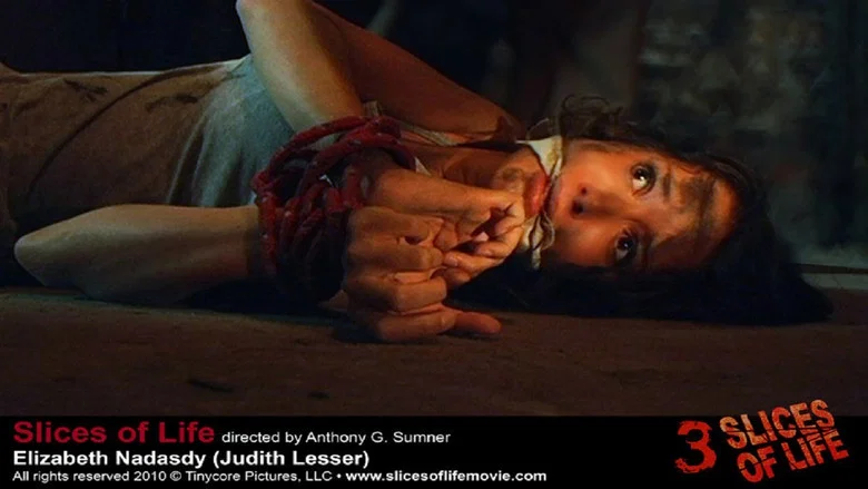 Slices of Life screenshot 7