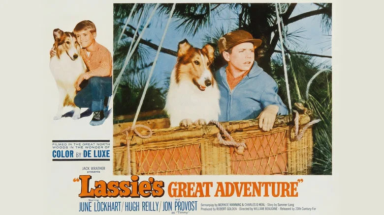 Lassie's Great Adventure screenshot 2