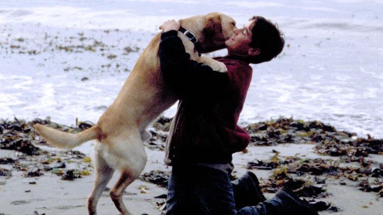 Far from Home: The Adventures of Yellow Dog screenshot 4