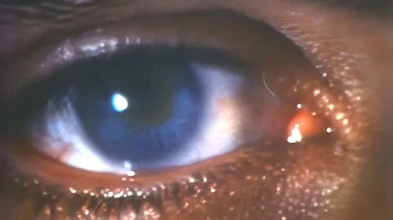 Faces of Death III screenshot 1