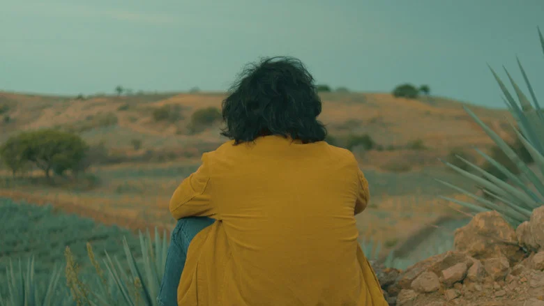 Agave Echoes screenshot 6