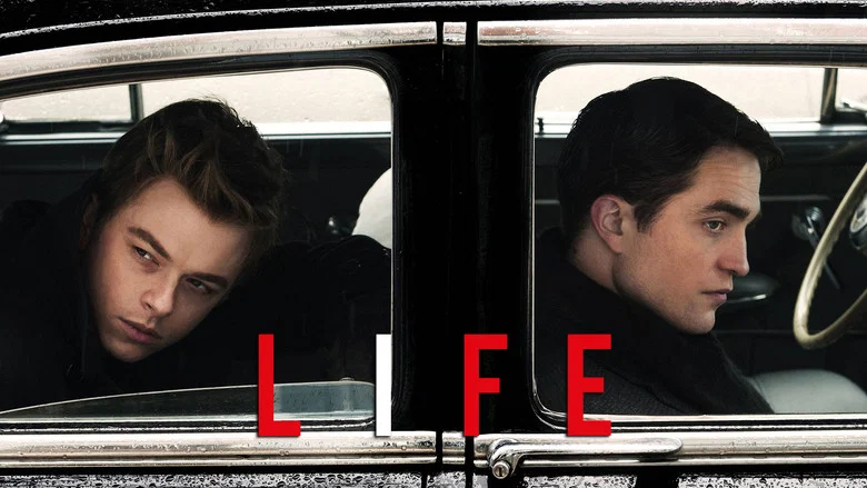 Life screenshot 5