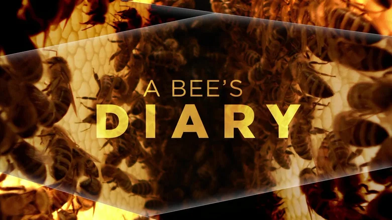 A Bee's Diary screenshot 3