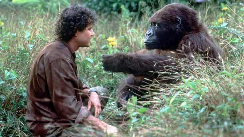 Congo screenshot 6