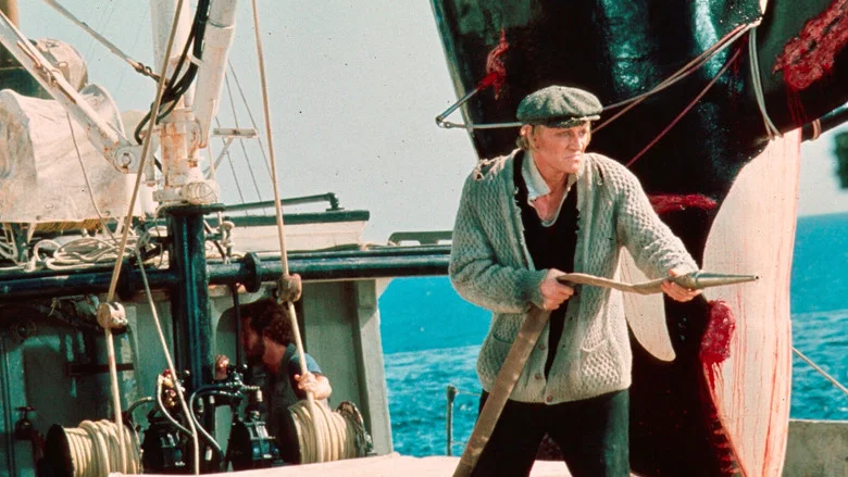 Orca screenshot 7